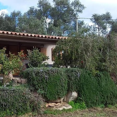 Villa Casa-Lesia Porto Vecchio Esterno foto